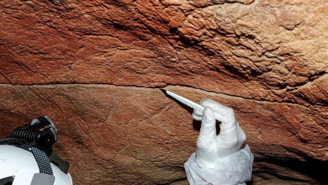 Ancient DNA Discovered in Iberian Caves: New Insights into Human History | dodgers rays betting odds