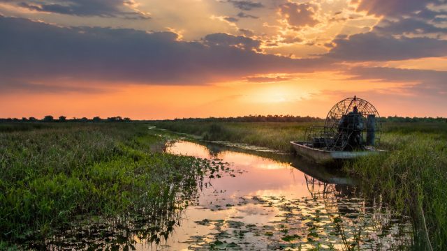 Preserving Louisiana's Marshlands: A Critical Need for Millions