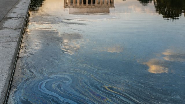 Allegations of Vandalism at Lincoln Memorial's Reflecting Pool Raise Eyebrows | raja188 slot, golden