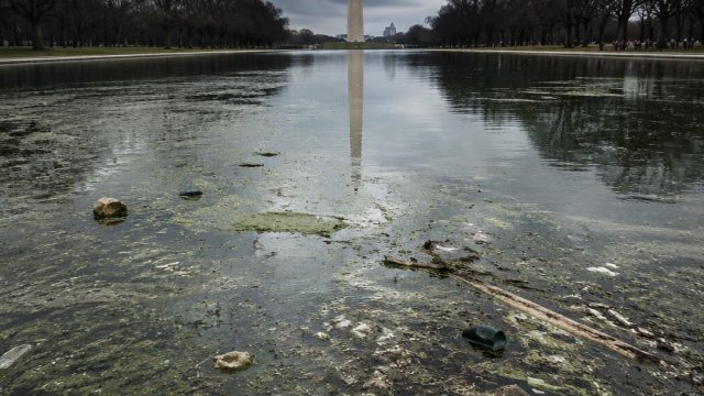 Controversy at the Reflecting Pool: Signs of Decay and Unrest | pk1 sport joker123, pemain tengah da