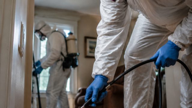 End of Hantavirus Quarantine Marks New Phase for Affected Americans | arteezy girlfriend, gacor 777 