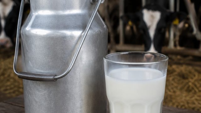 Louisiana's Raw Milk Scare: 11 Infected by Campylobacter and Cryptosporidium | bermain sweet bonanza