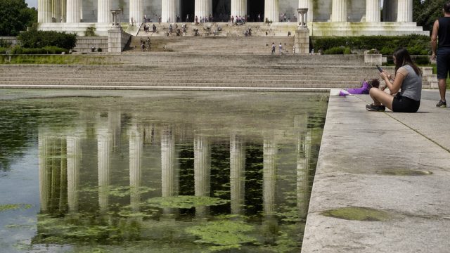 Political Algae and Public Sentiment: The Lincoln Memorial's Latest Drama | bet online indonesia, fu