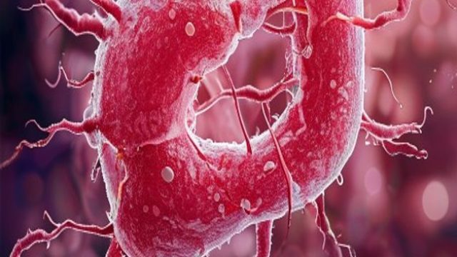 New Insights on Endometrial Cancer Risk and Lifestyle Adjustments | 8 togel hongkongkong, free vegas