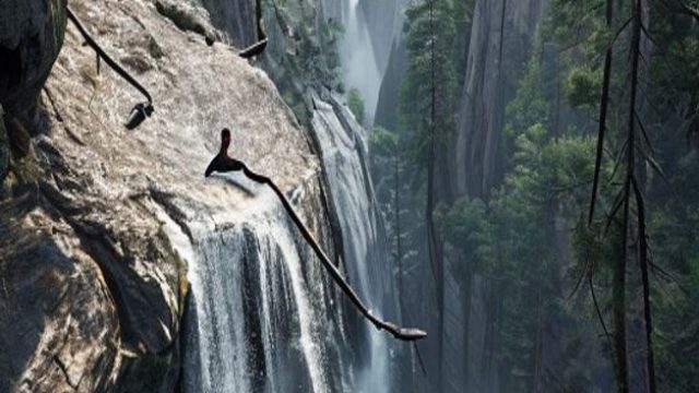 Tragic Incident at Yosemite: Young Visitor Falls Over Waterfall | video gatot kaca, jet77 rtp, login